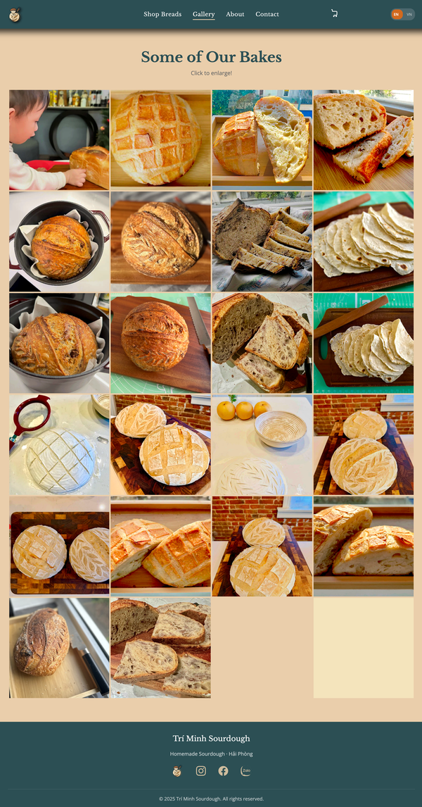 Gallery of bakes